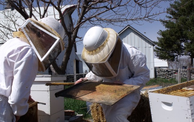 No mites to be found.