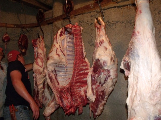 Hanging and chilling the pork.