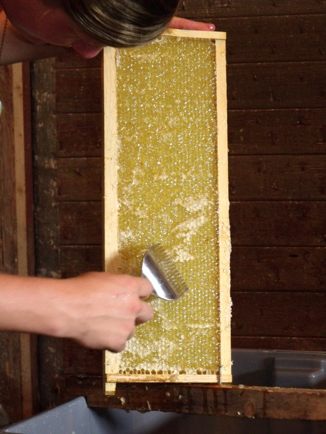 Using a special fork to uncap the wax left behind by the knife.