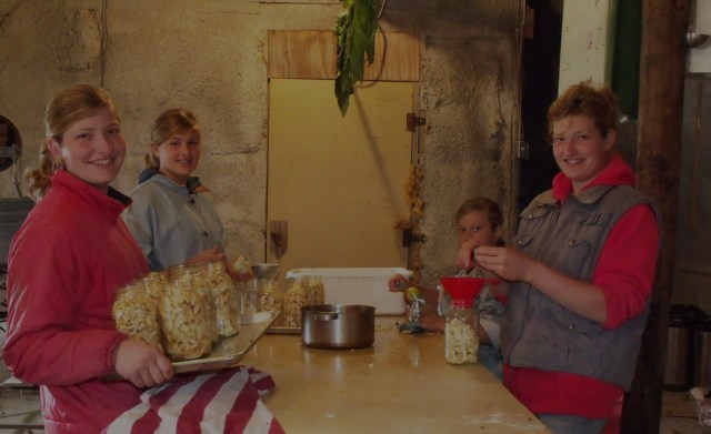 Making canned apple pie filling out in the butcher shop.