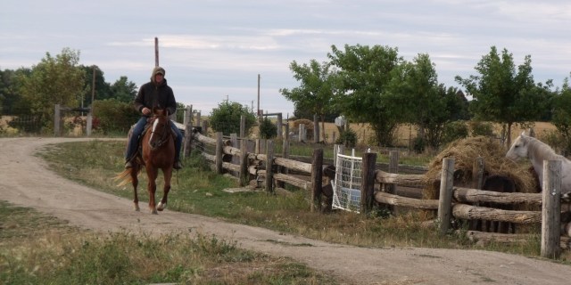We had our first frost and started wearing coats and hats. Already have the wood stove going in the house to take out the chill and bake in.