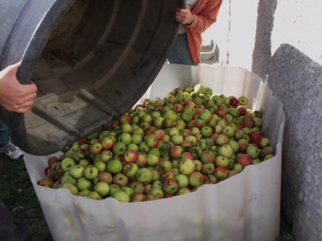 25.......5 gallon pails for cider!