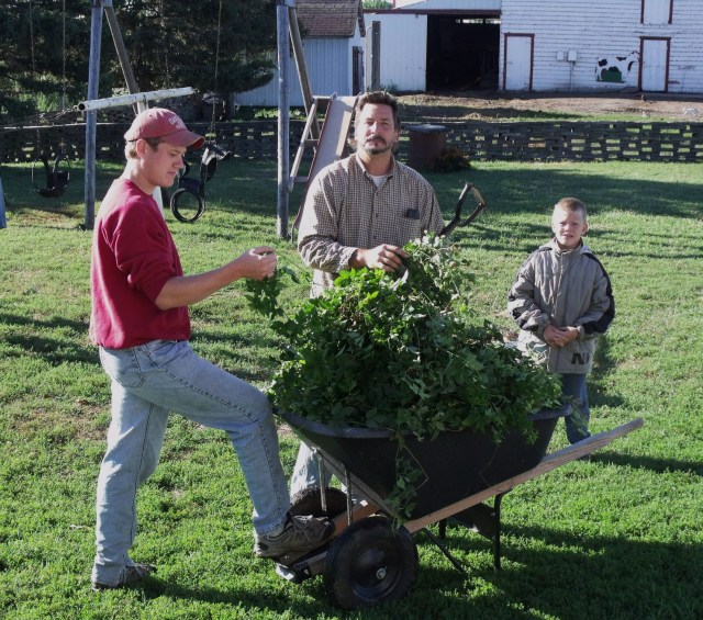 Peter, Fred and Mario with the first load of hops.