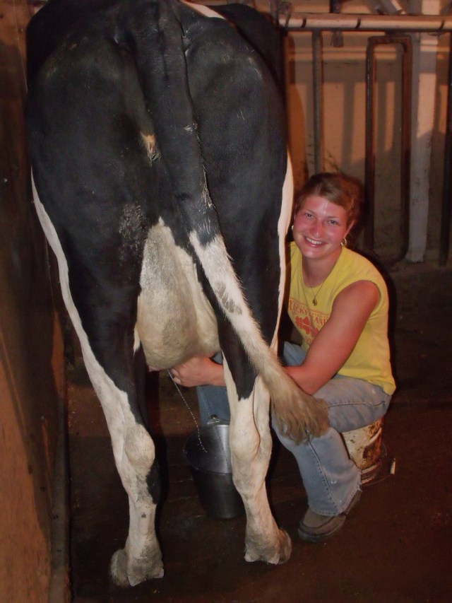 Marisa milking Abbey