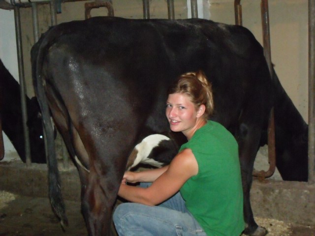 Silvana milking April