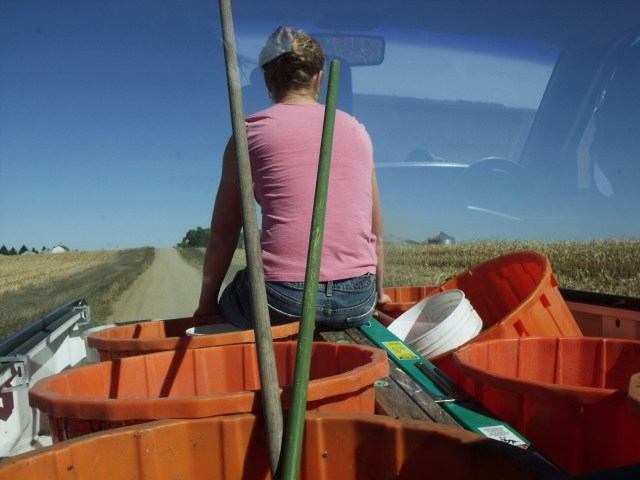 We're off to harvest some beautiful apples on a most wonderful Fall day.
