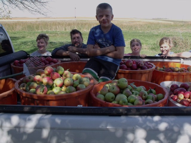 Silvana, Fred, Mario, Marisa and Maggie were all part of the picking crew.