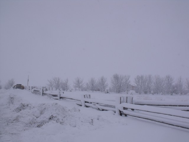 Luke clearing snow hoping to make it to mass.