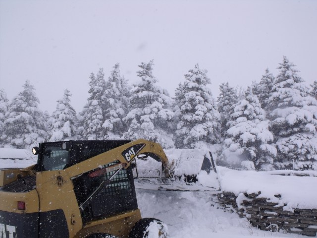 Fred bucking out our yard.