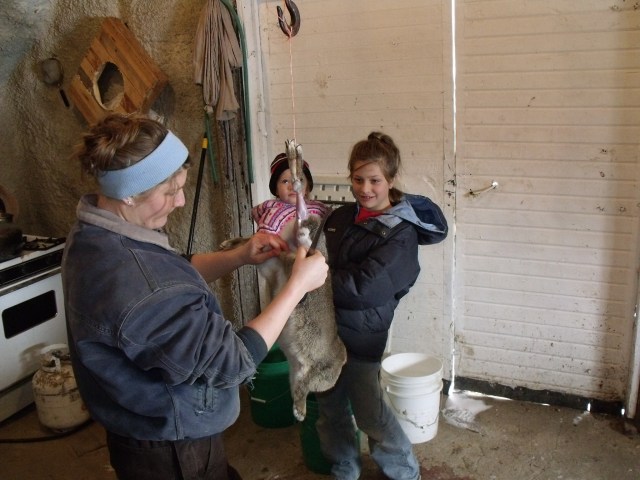 Marisa skinning one of the seven rabbits as Bella and Kallie Jo look on.