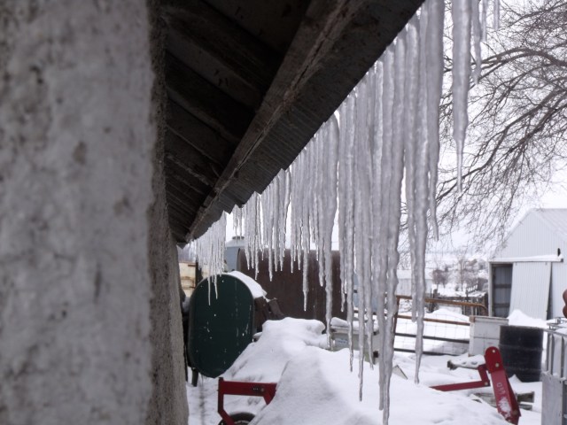 Ice hanging from the butcher shop roof.