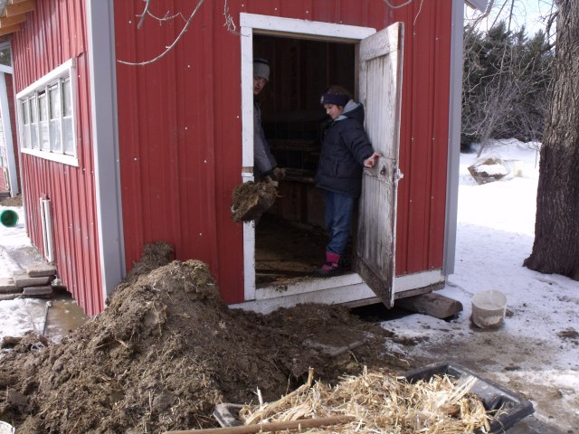 Bella made sure the chickens did not escape.  
