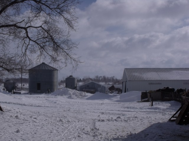 A cold March day out back on our farm.
