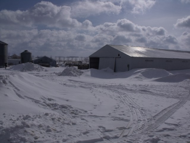 Our farm yesterday, March, 2013