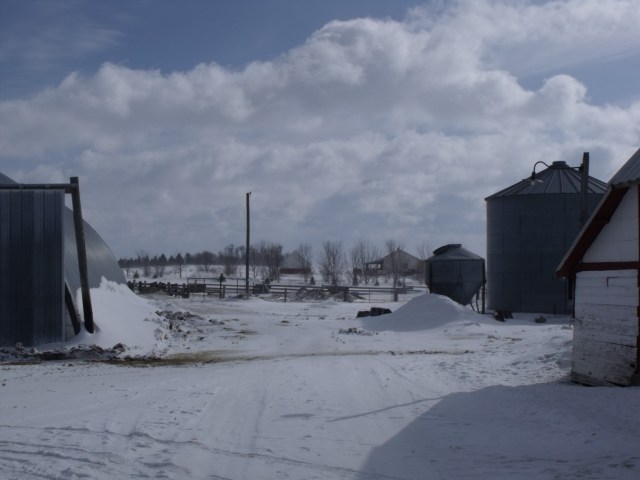 Cold but pretty, view of Jess and Lukes home.