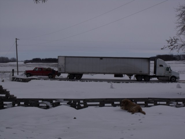 Loading the wool on our road.
