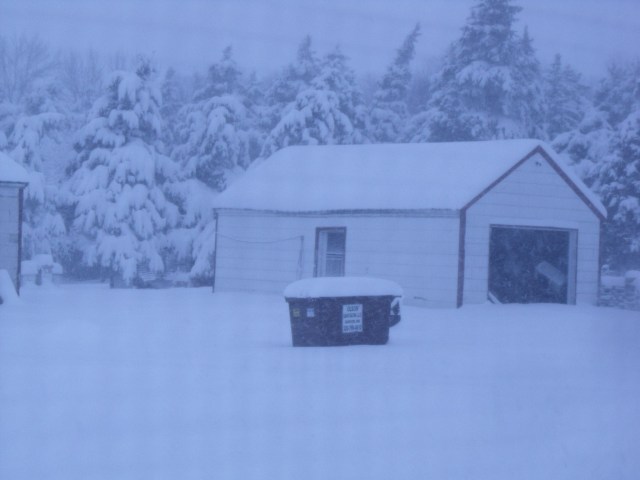 And then the snows came........and came:)