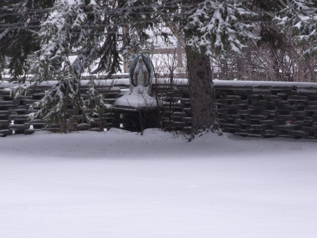 A nice blanket of snow in our front yard.