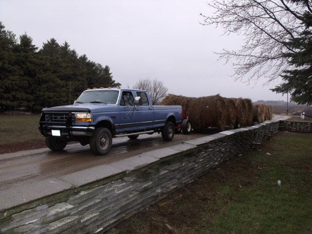 Rainy day on Monday bought hay for a tad bit cheaper.  Not much though:)  Staw also for the barn dance.