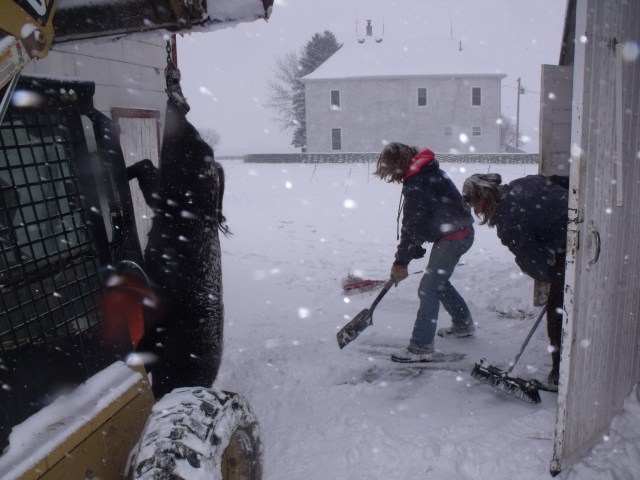 Twins moving snow to make way for the hog.