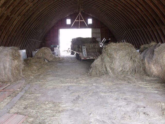 The load of hay bleachers arrived on Monday.  It will take a week of cleaning, off and on to get the barn ready for dancing.
