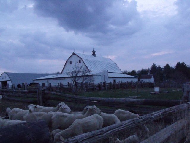 Spring Sky in the evening.......