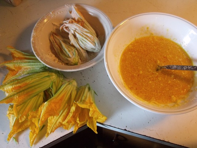 Fried Zucchini flowers.  Take the male ends of the flower (they have a stem on the end of the flower as opposed to the fruit). Dust with flowr and dip in beaten eggs, s and p, garlic powder and parmesan.  Insert a piece of mozzarella cheese in the flower and twist the top.  Fry in a small amt. of oil.  I used to bring these down to my dads shop back in East Stroudsburg for lunch, good memories.