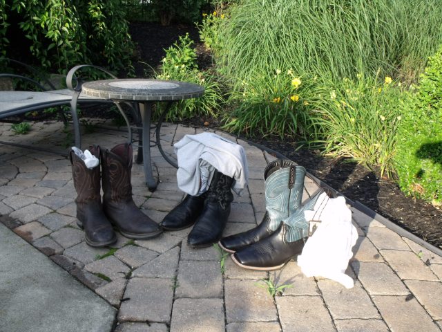 Country boys shed cowboy boots for a late afternoon swim.