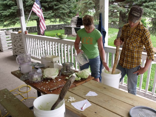 We made 201.5 pounds of Sauer Kraut.  75 #'s is Frenchy's.  The recipe for good Kraut is in the Joy of Cooking cook book. Easy and delicious!  This will be served mostly with our own Niman Ranch Pork.