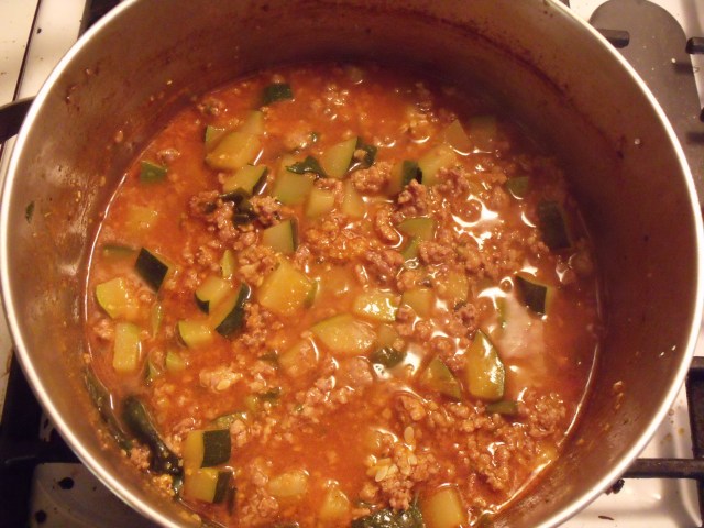Zucchini Stew!  Brown ground pork, onions, garlic, sweet basil, salt and pepper.  Throw in a can of tomatoes and a bunch of cubed zucchini.  Simmer for a bit until just barely cooked.  Cook aldente baby pasta shells, and add two cups cooked to the stew!!  Serve with Red Hot Sauce and parmesan on the side.