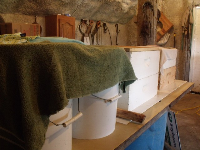 Wine and Honey.  Life is good by golly!!