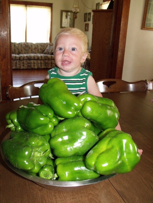 Sweet peppers, sweet baby Blase.  