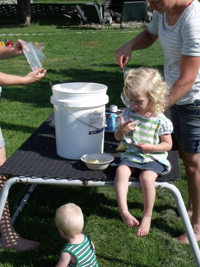 The sauerkraut is good enough to eat fresh out of the bucket. Kallie ate an entire bowl!