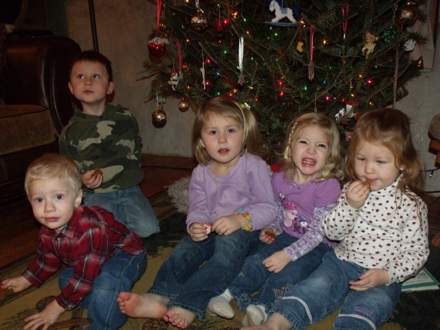 Sweet grandchildren, the next generation!
