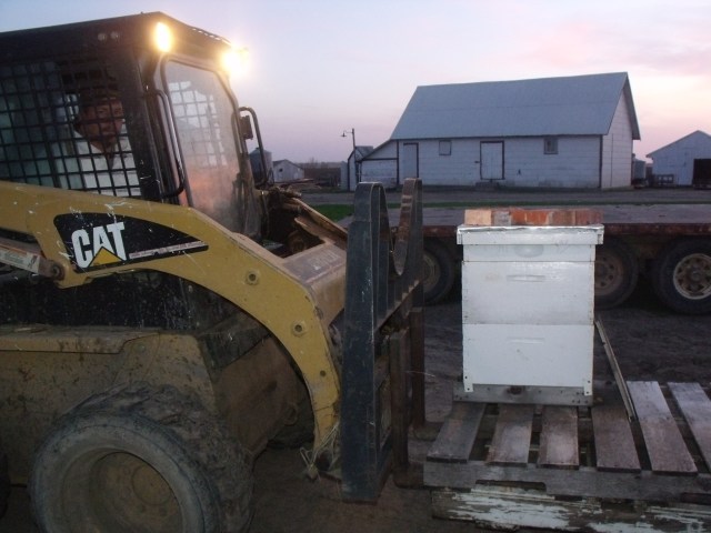 Fred Moving Hives The End Of The Day!