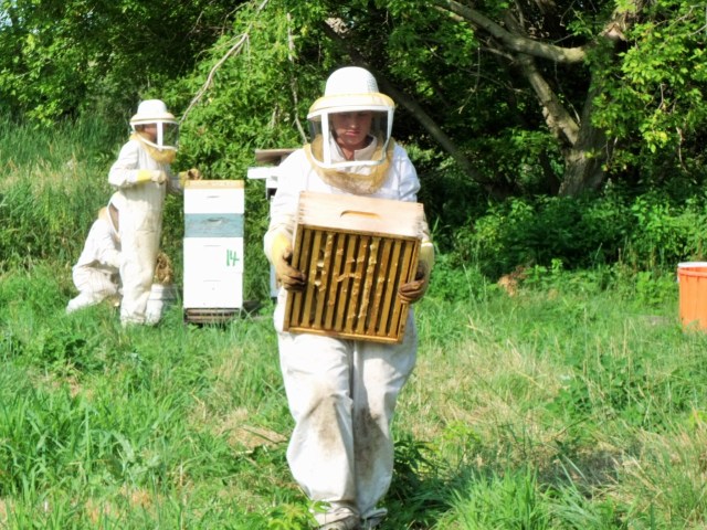 Hauling the 35# box to the car.