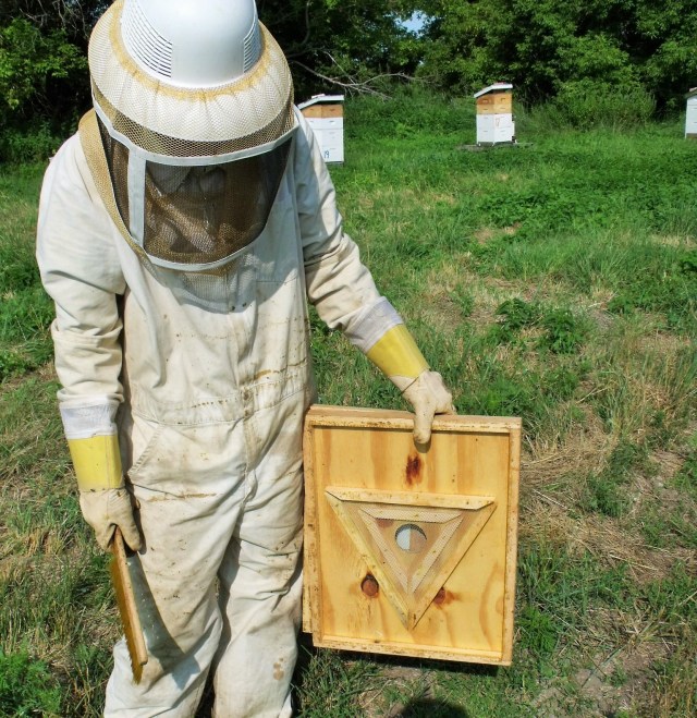 This is a bee escape board which is placed right below the supers we plan on removing 24 hours before we harvest.  This allows the bees to travel down but not come back up into the honey super.  Most of the bees are out making it much easier.