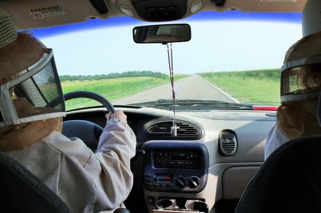 Transporting honey home to be extracted.