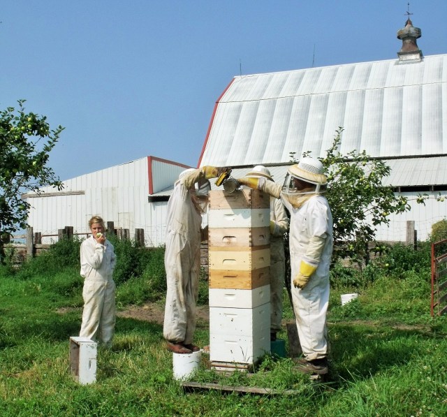 This is our best hive this year.