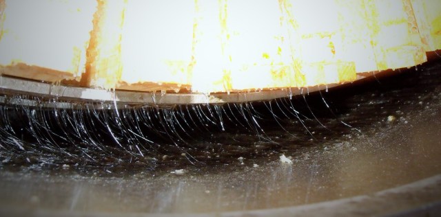 Beautiful honey being extracted. Light and delicious!