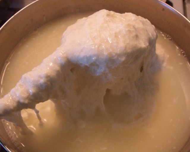 After the citric acid is added stir until you get all the curds separated.  