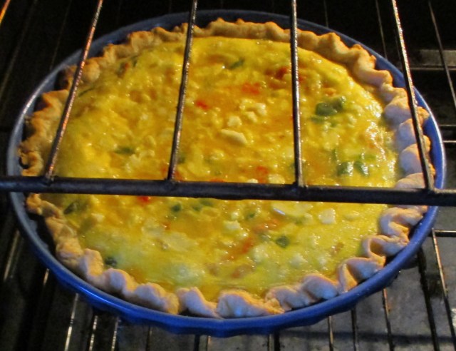 This Quiche was delicious.  Eggs, onions, milk, cheese etc.  Wow!