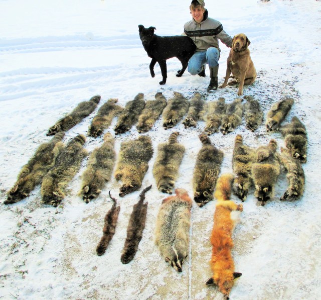 Caleb had a pretty good trapping year.  Chief and Rowdy looking so cute!