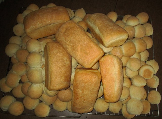 Give Us This Day Our Daily Bread!  108 buns and 6 loaves.