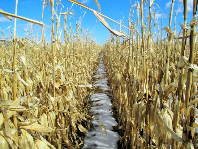 Beautiful, clean, fresh, cold out house view.
