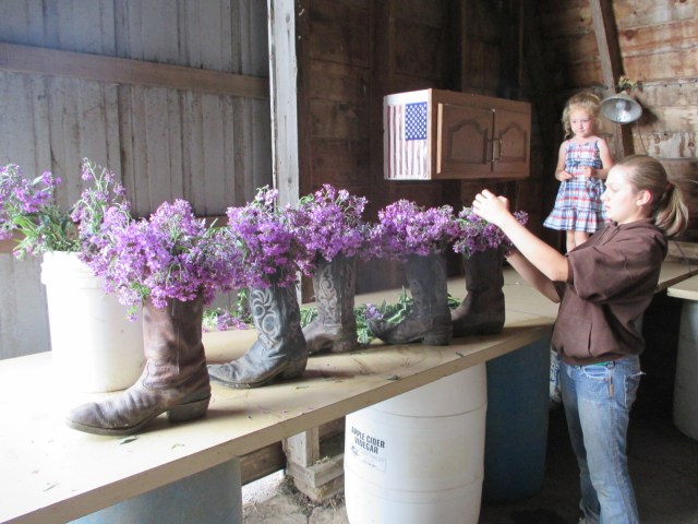 Flowers from the road ditches to the vase!!