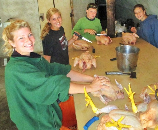 Silvana, Maggie, Mario and Bella...You do not work......you do not eat!!