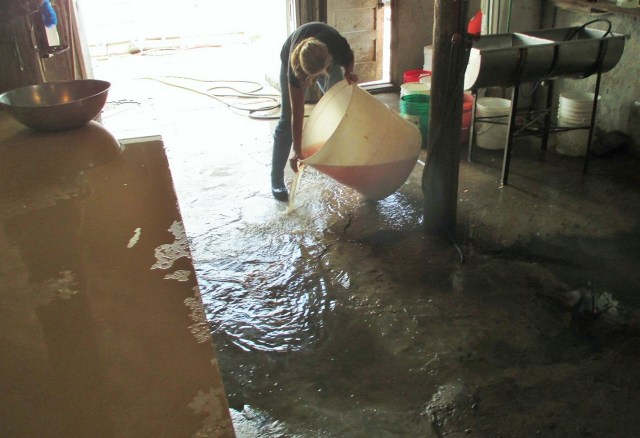 Not too much to clean up.  A job well done....until next year!