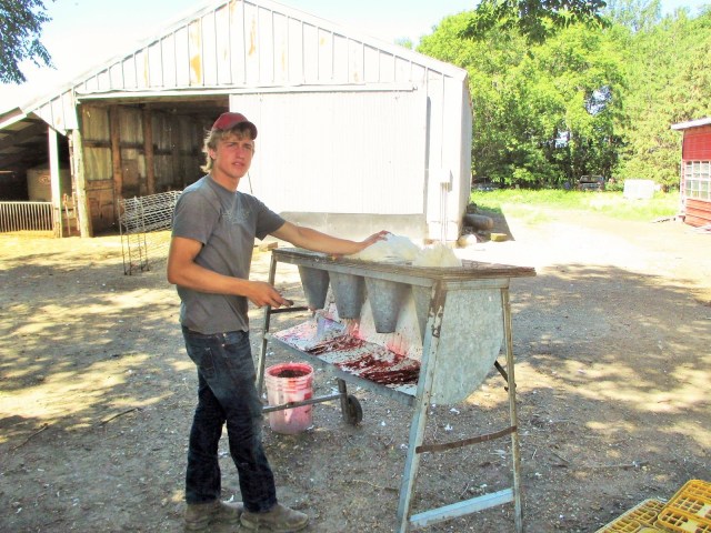 Caleb handles the worst part of chicken butchering for us!  We borrowed this unit from the Fonders.