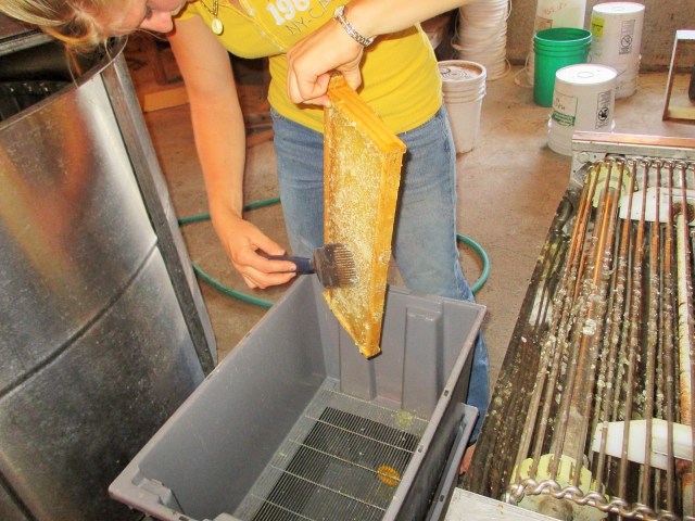 Marisa is seen removing any wax caps that may have been missed by the machine.